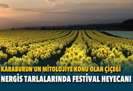 Nergis Festivali Karaburun Mordoğan Balıklıova Turu